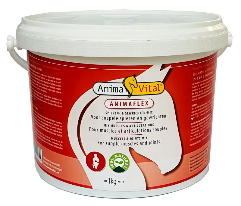Animaflex - muscles & articulations