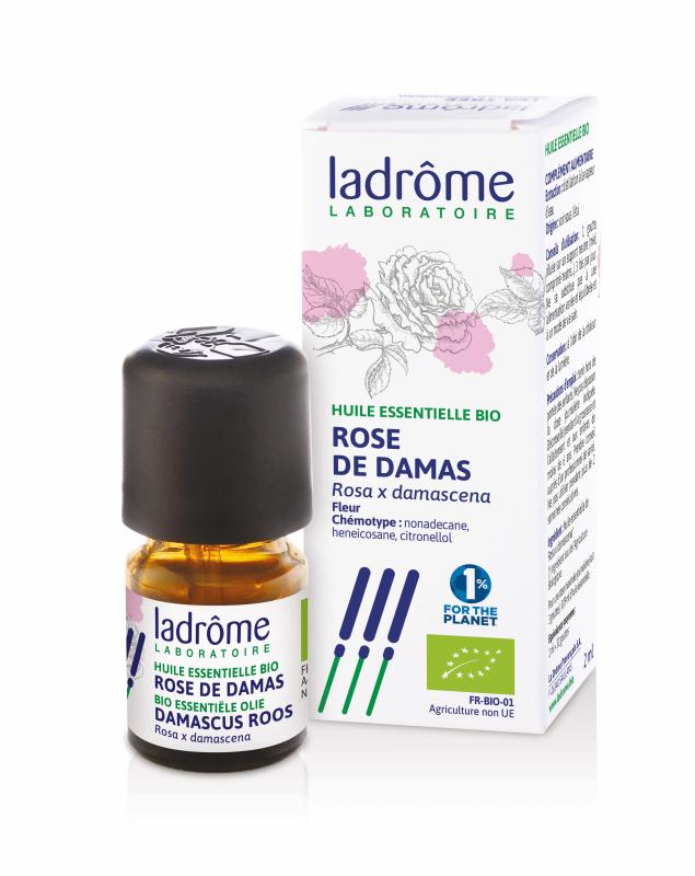 Rosa damascena - damascus roos