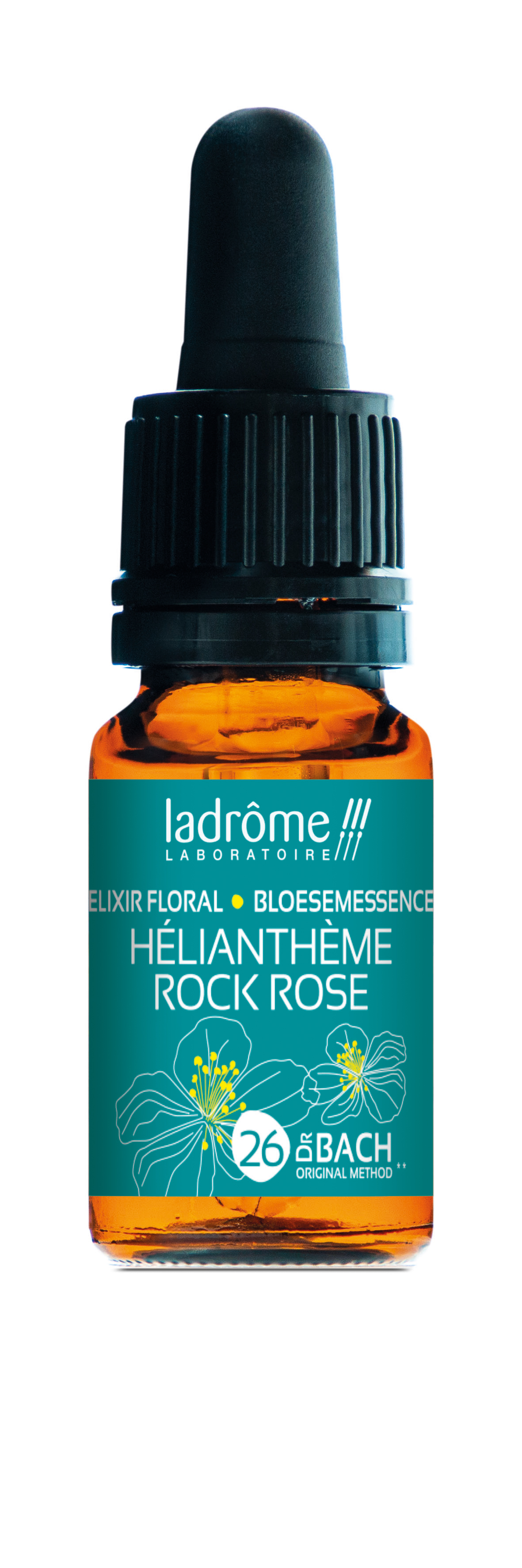 Zonneroosje - rock rose n°26